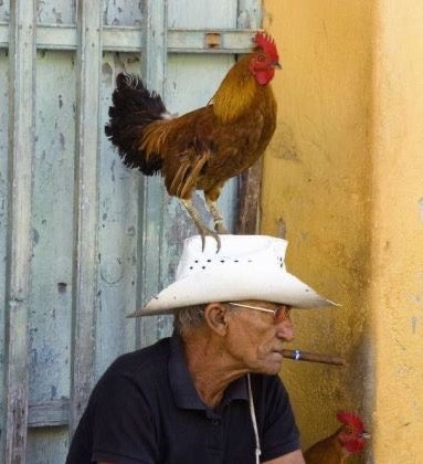 Cowboy Hats
